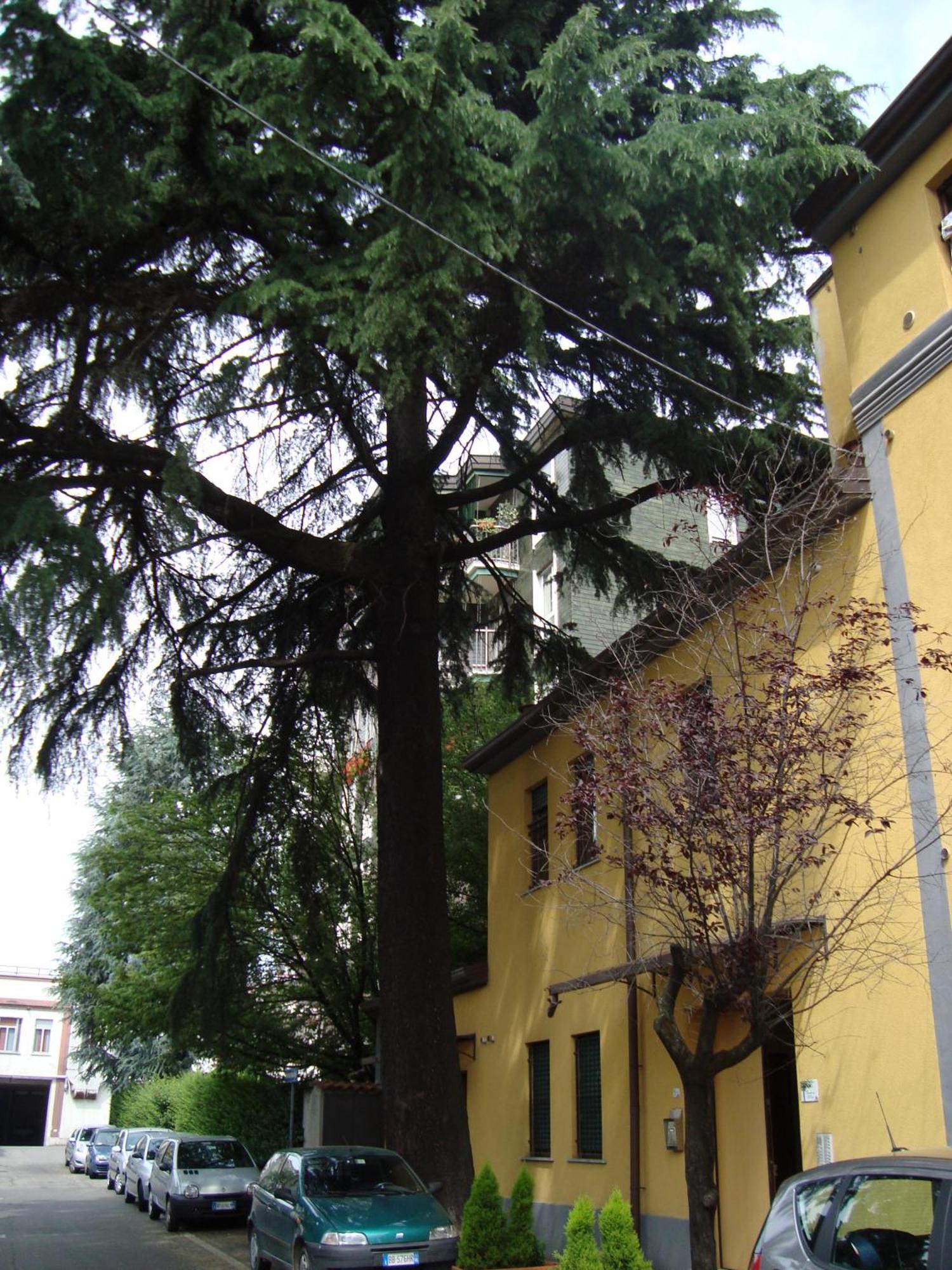 Residence Il Pino Saronno Exterior photo